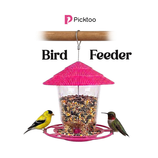 Premium Hanging Bird Feeder