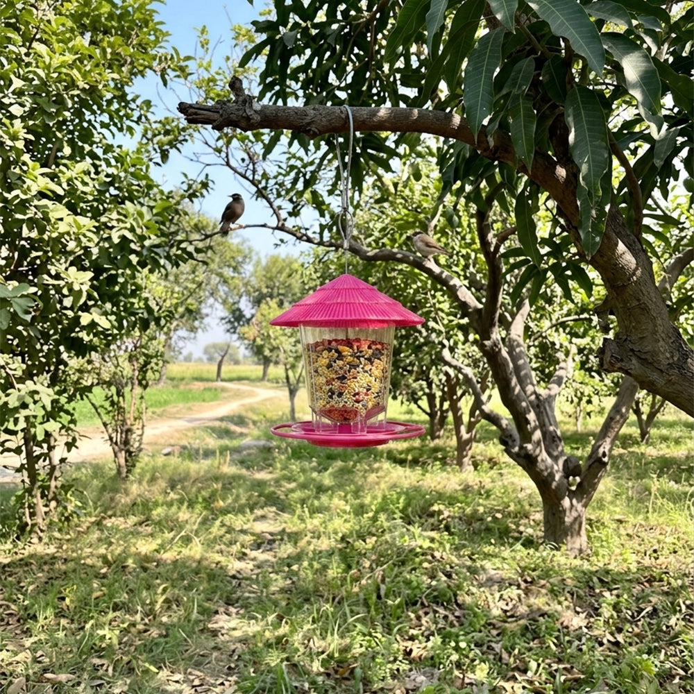 Premium Hanging Bird Feeder