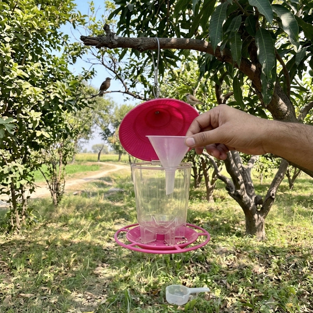 Premium Hanging Bird Feeder