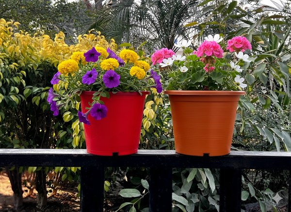 Colorful pots
