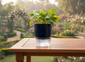 Self Watering Pots