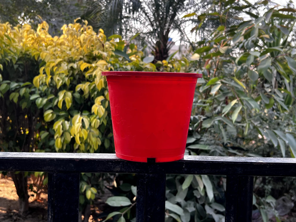 Colorful pots