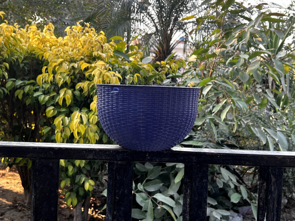 New lined stunning basket