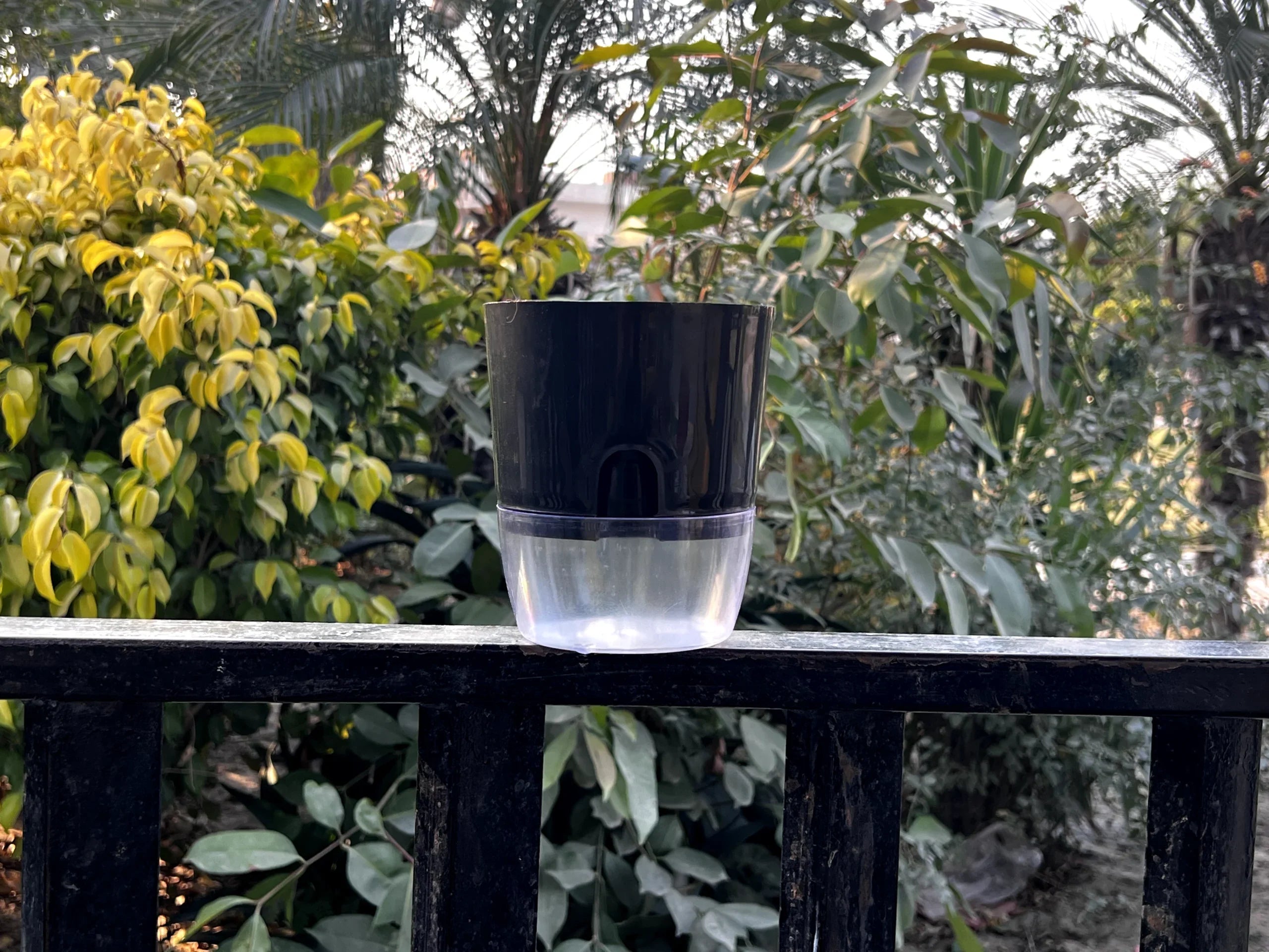 Self Watering Pots