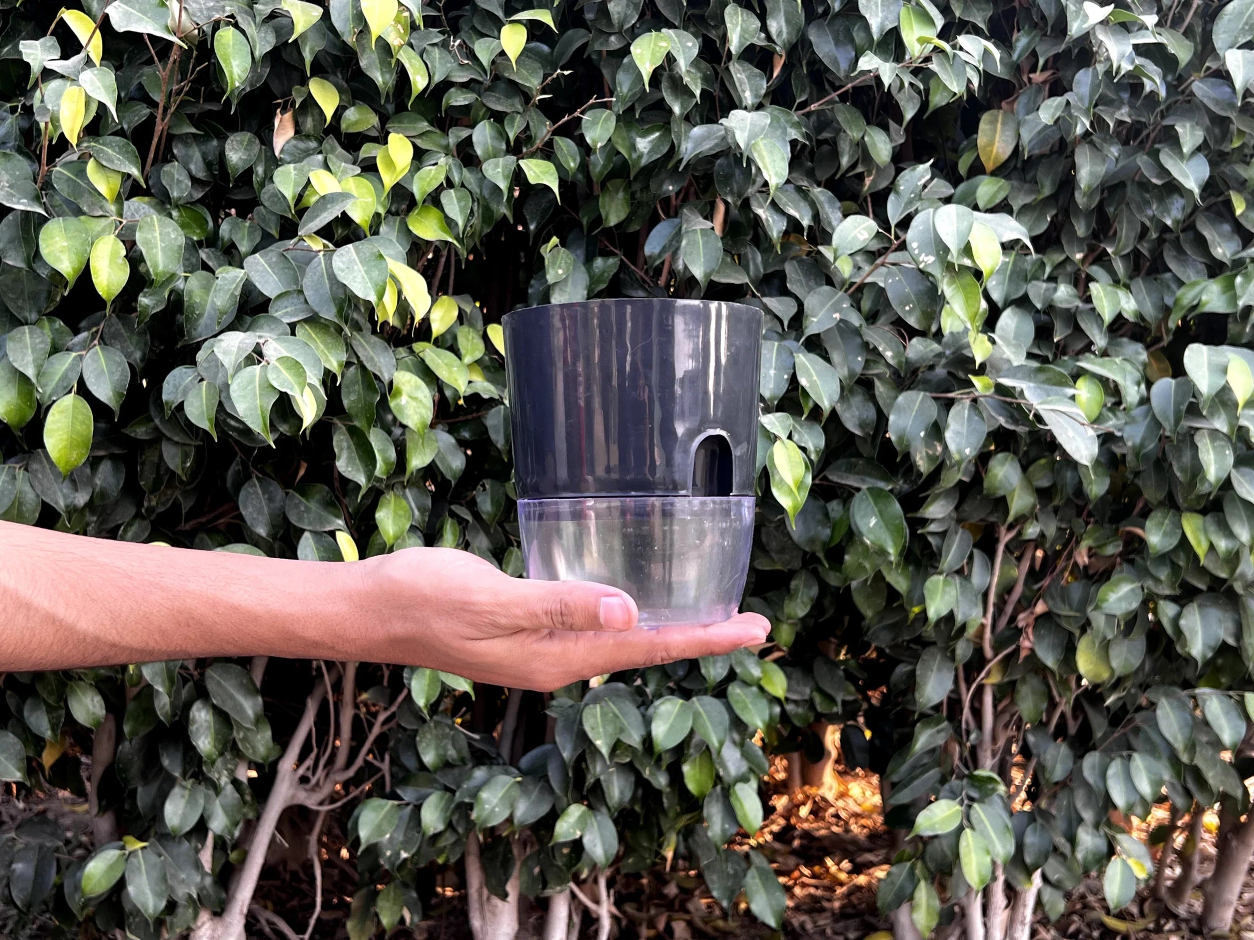 Self Watering Pots