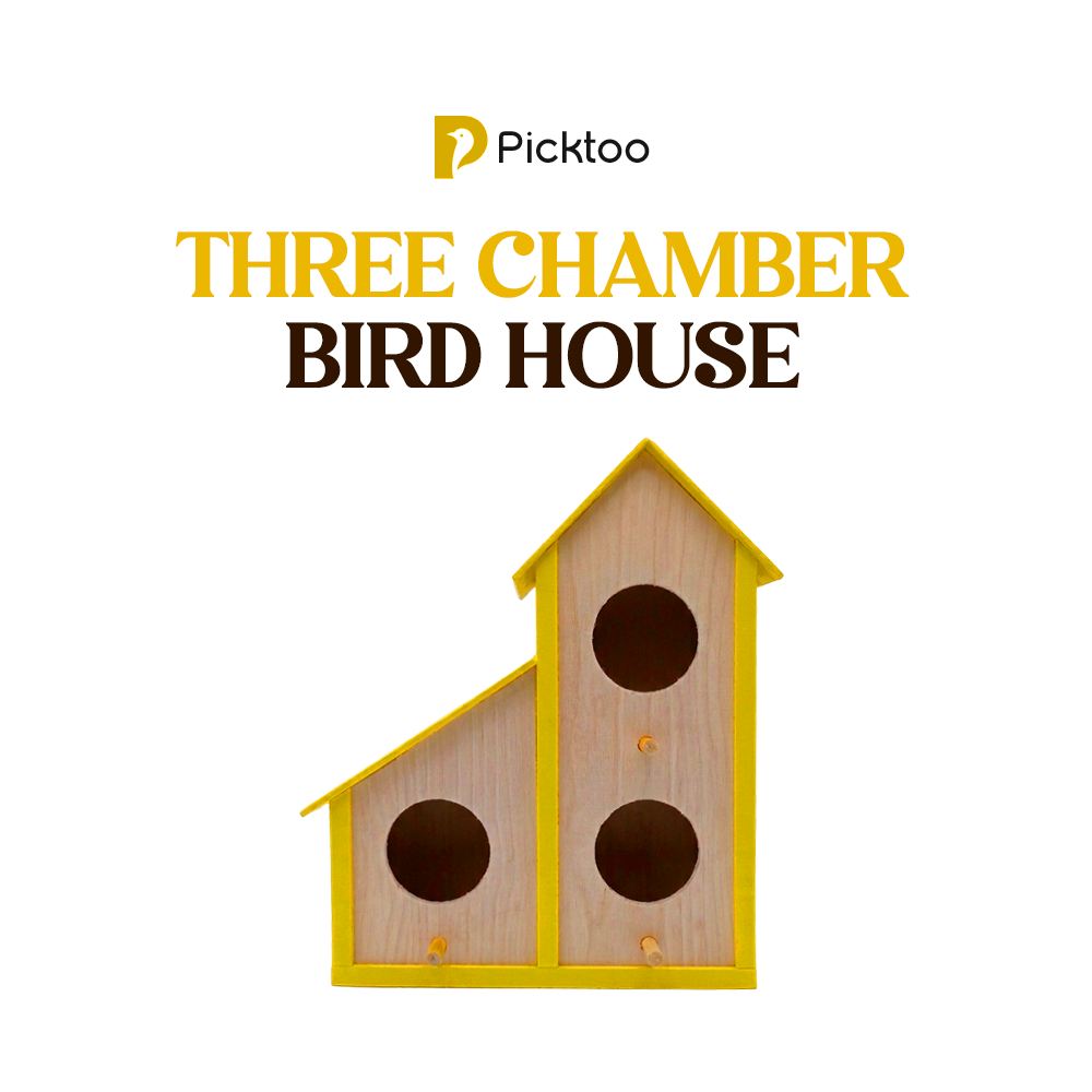 Three Chamber Birdhouse